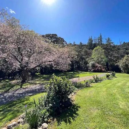 Coromandel Secluded Log Cabin Retreat Hikuai Zewnętrze zdjęcie