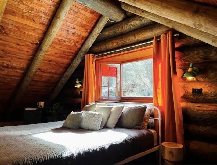 Coromandel Secluded Log Cabin Retreat Hikuai Zewnętrze zdjęcie