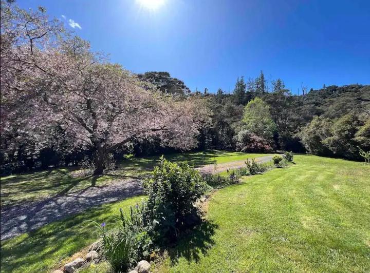 Coromandel Secluded Log Cabin Retreat Hikuai Zewnętrze zdjęcie